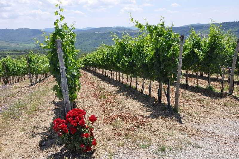 Borgo Castelvecchi Residenza Depoca Otel Radda in Chianti Dış mekan fotoğraf