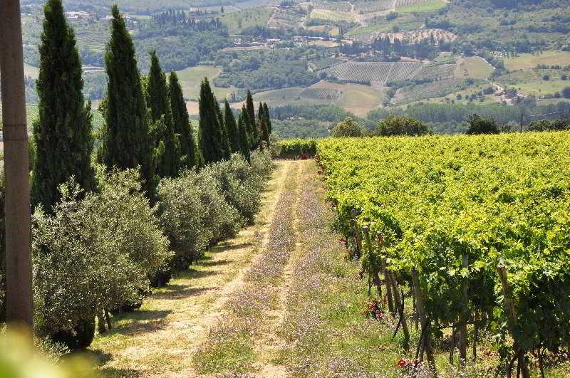 Borgo Castelvecchi Residenza Depoca Otel Radda in Chianti Dış mekan fotoğraf